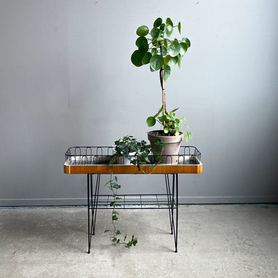 Blombord string