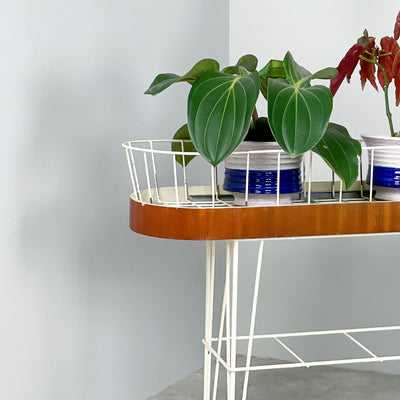 Blomsterbord i teak & string