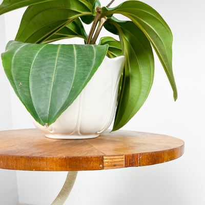 Art deco golvlampa med svanhals