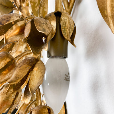 Vägglampa, Pioggia d’Oro, Hans Kögl