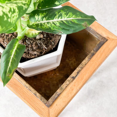 Blombord i teak
