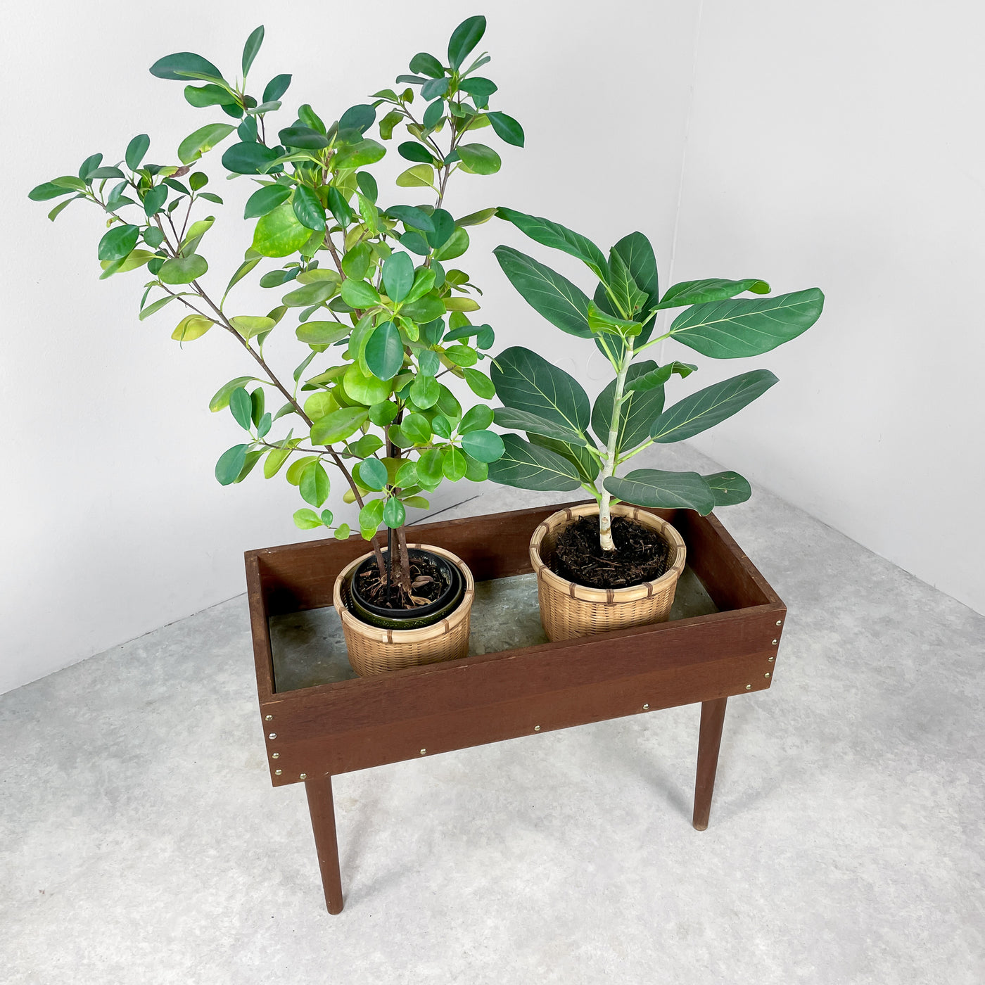Blombord i mörkbetsad teak