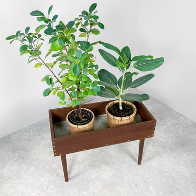 Blombord i mörkbetsad teak