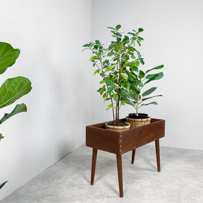 Blombord i mörkbetsad teak