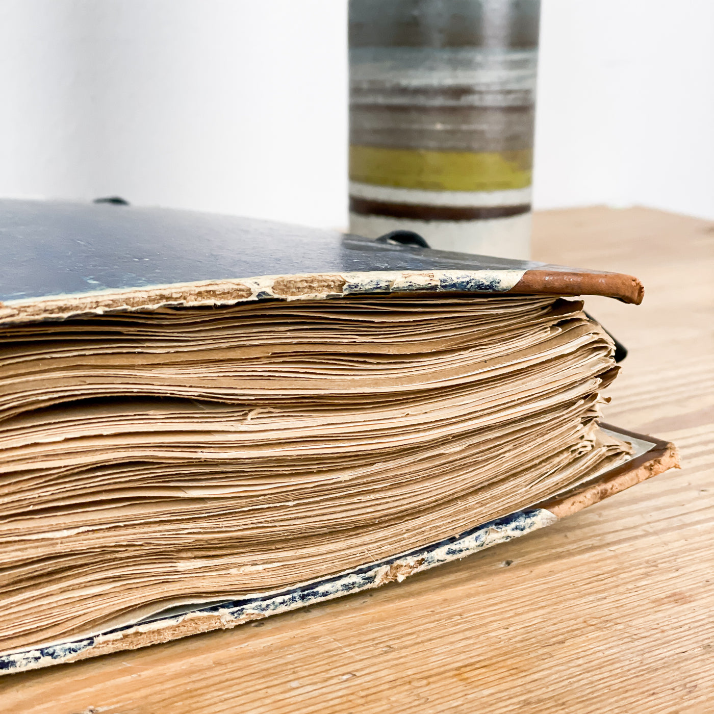 Herbarium från 40-talet