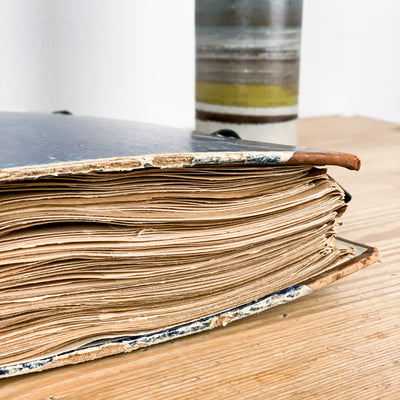 Herbarium från 40-talet