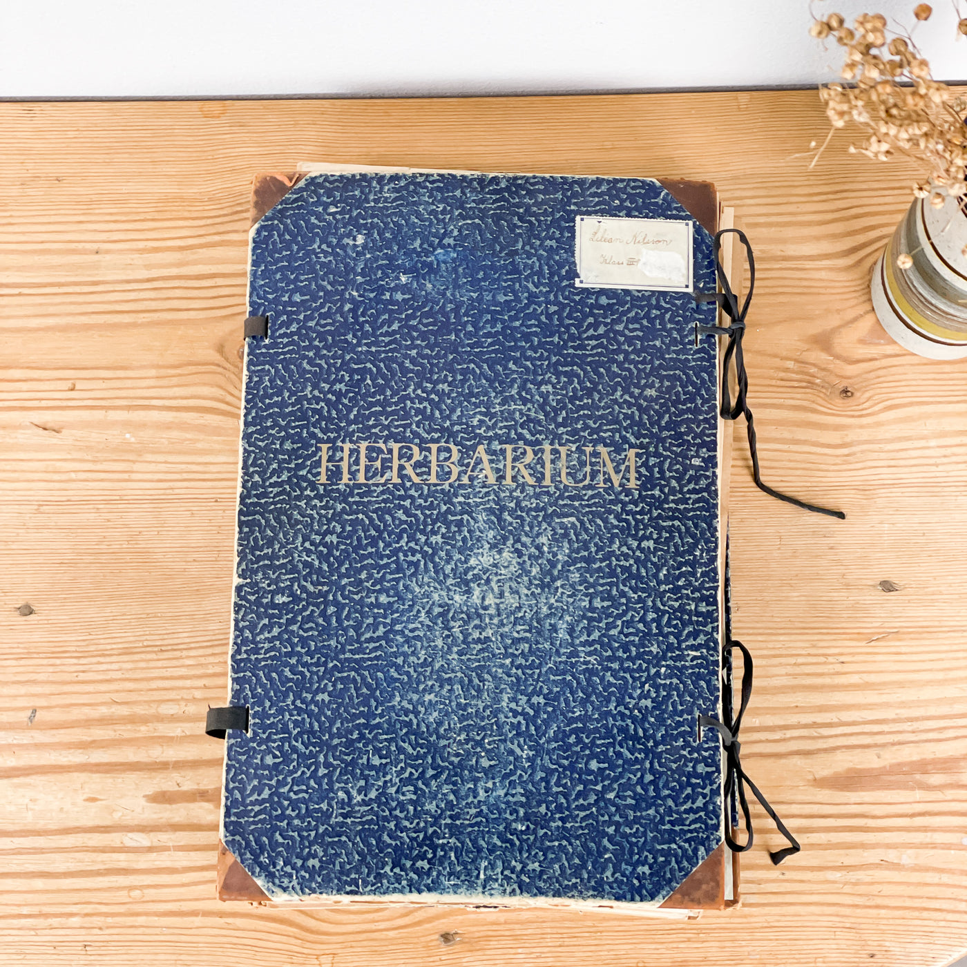 Herbarium från 40-talet