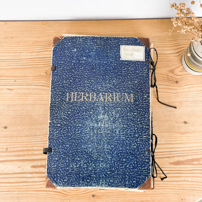 Herbarium från 40-talet